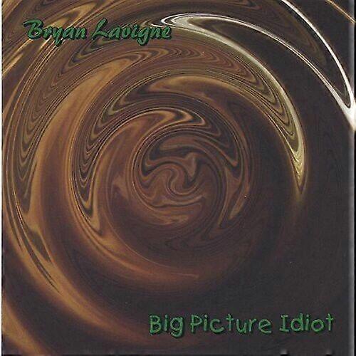 Bryan Lavigne Big Picture Idiot CD