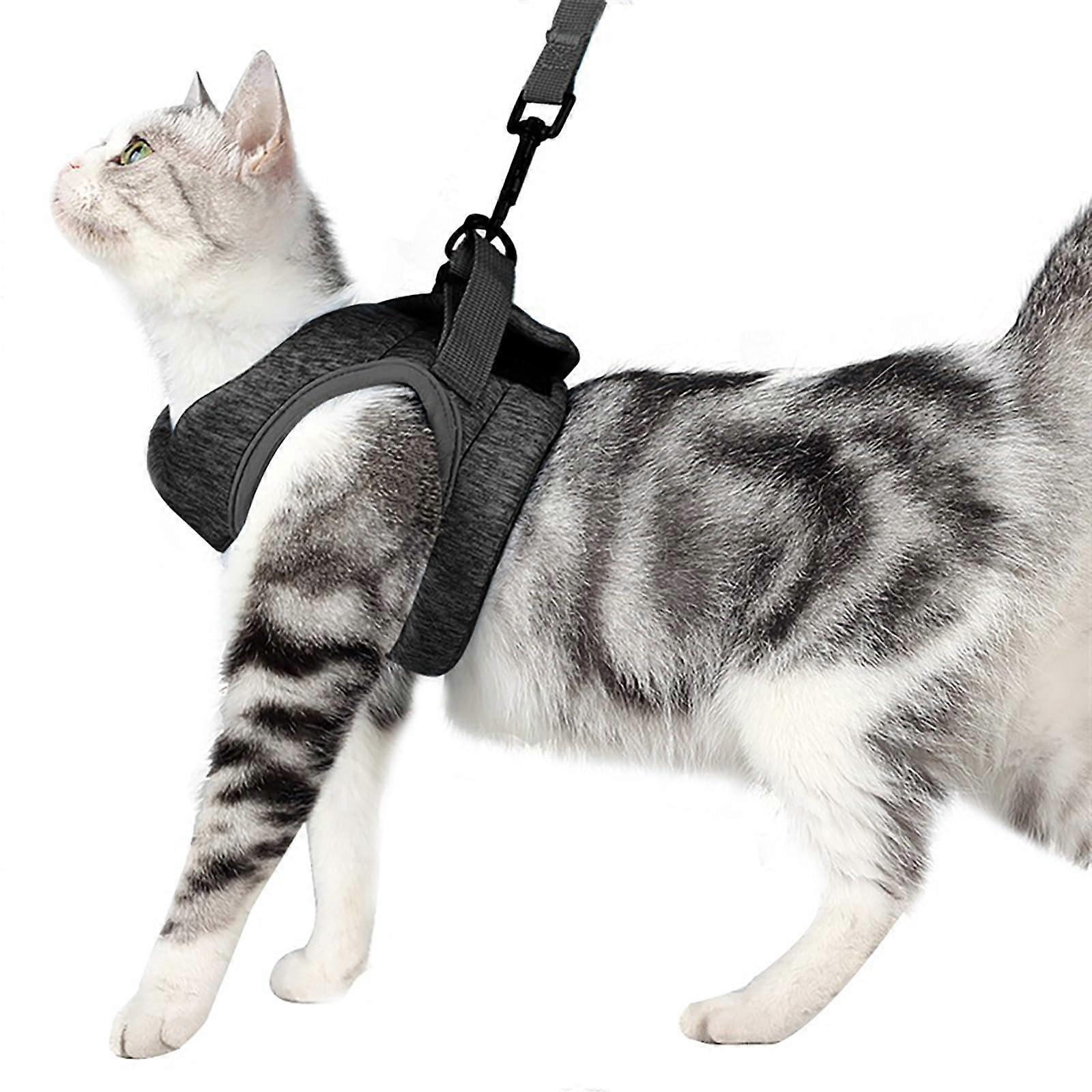 Kitten Harness and Leash Set Escape-Proof Small Cat Vest Black M Size For Walking, Service Cat
