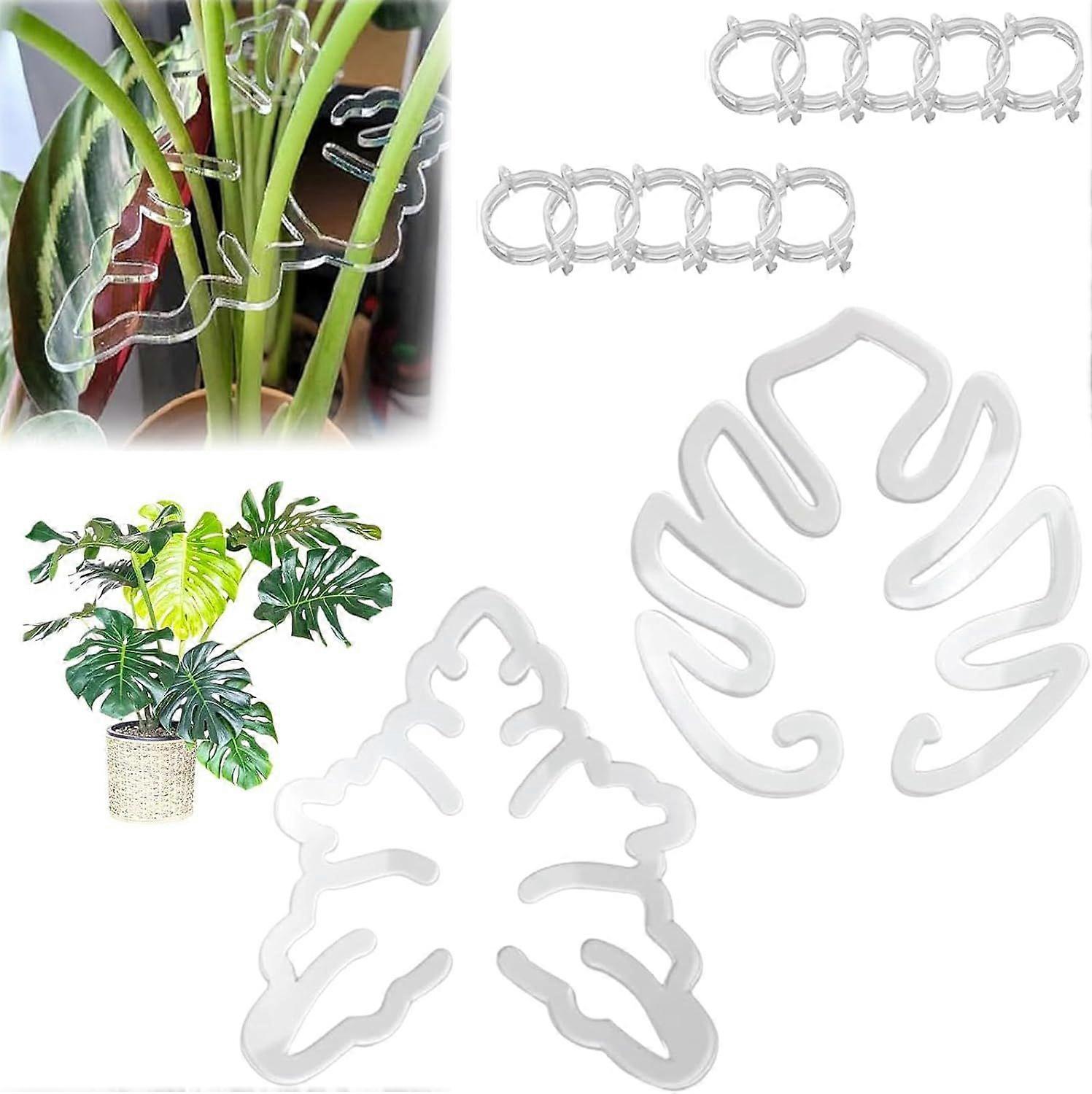 2025 Latest Model  Monstera Grapple, Monstera Plant Support, Plant Support Ring