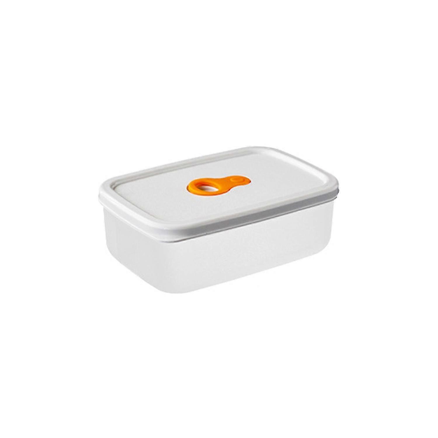Large Multi-purpose Reusable Plastic Food Storage Container for Home