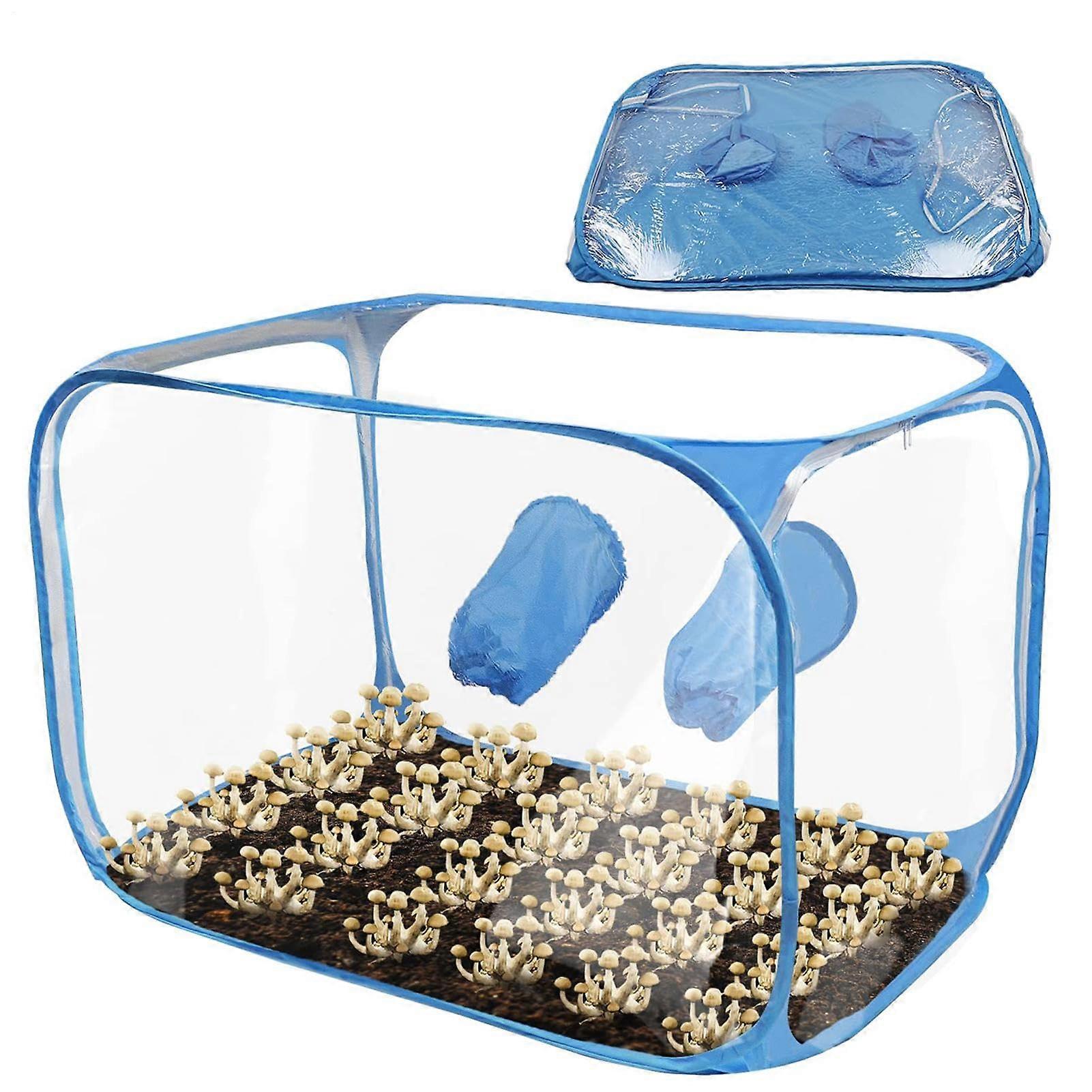 Mushroom Grow Tent - Foldable Clear Still Air Planting Bag for Urban Apartment - Ventilated Greenhouse in Blue