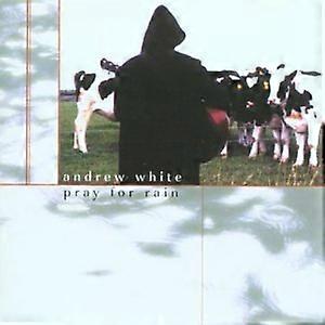 Andrew White - Pray for Rain [CD]