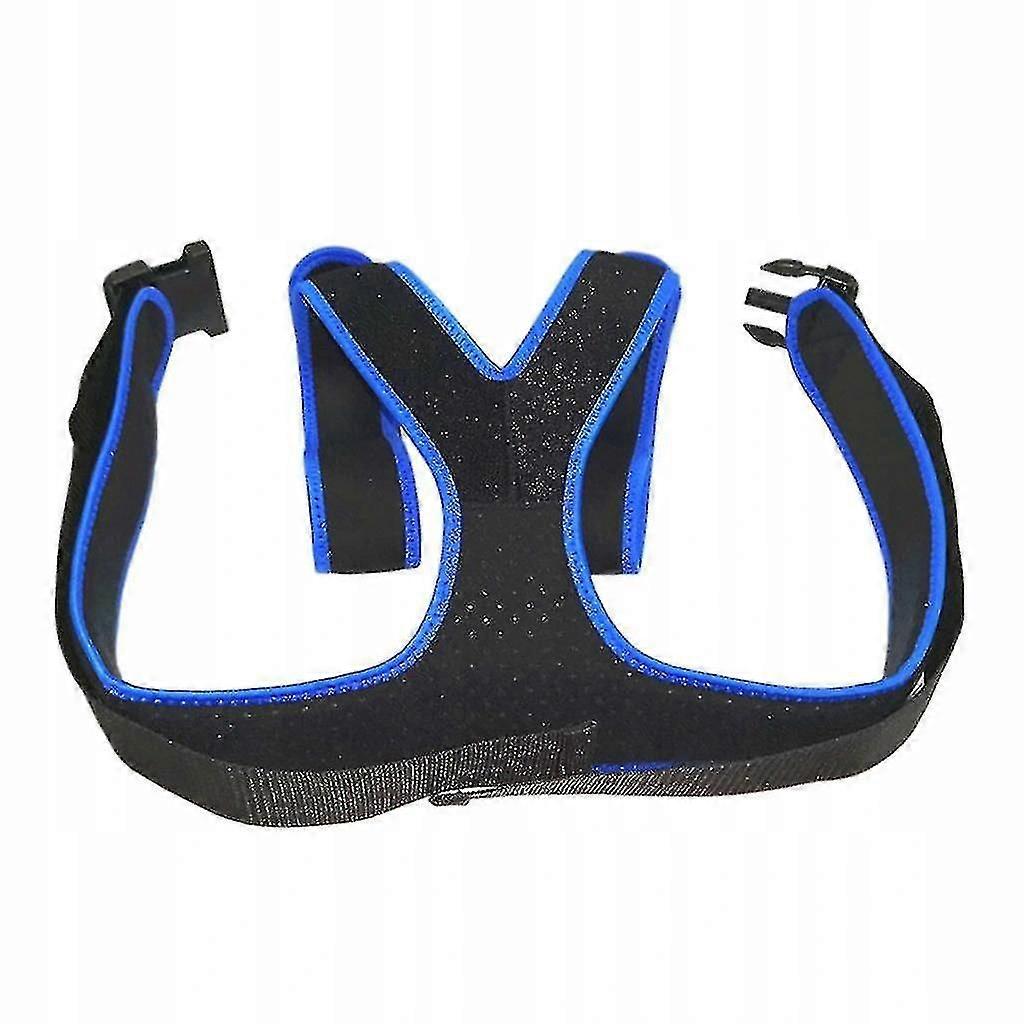 Wheelchair Safety Belt