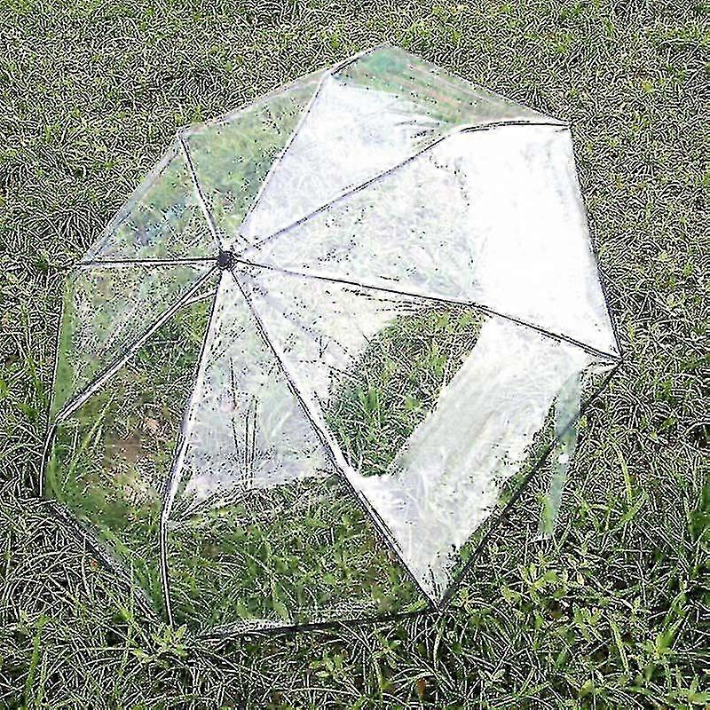 Auto-Open Transparent Windproof Mini Umbrella