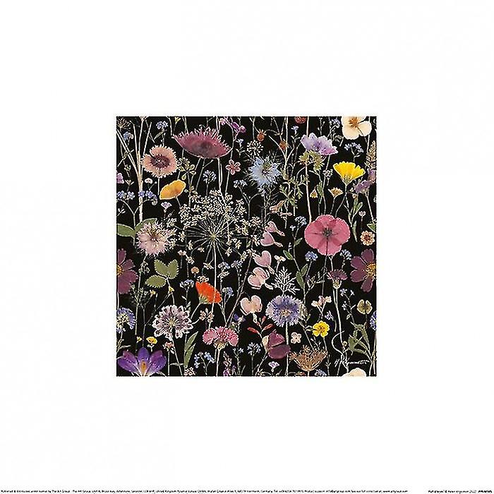 Helen Ahpornsiri Full Bloom -juliste