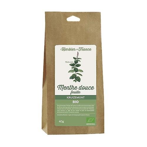 Sweet Mint Leaves 40 g