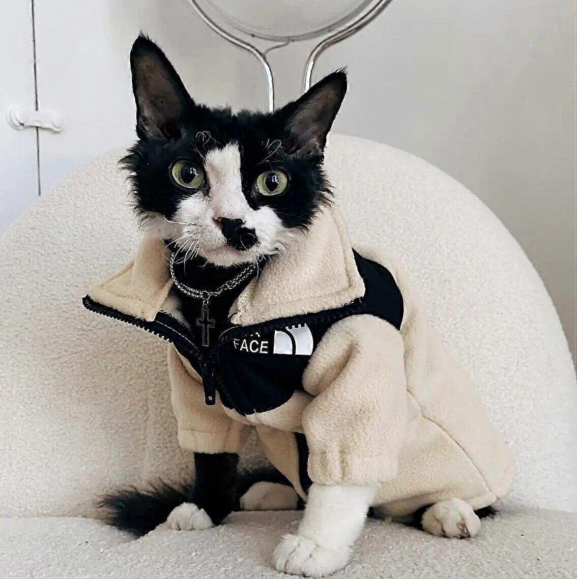 Luksus vinterunderskjorte for Sphynx Cat Reflekterende kjæledyrklær Reflekterende kjæledyrklær Kattejakke Devon Rex Genser om høsten
