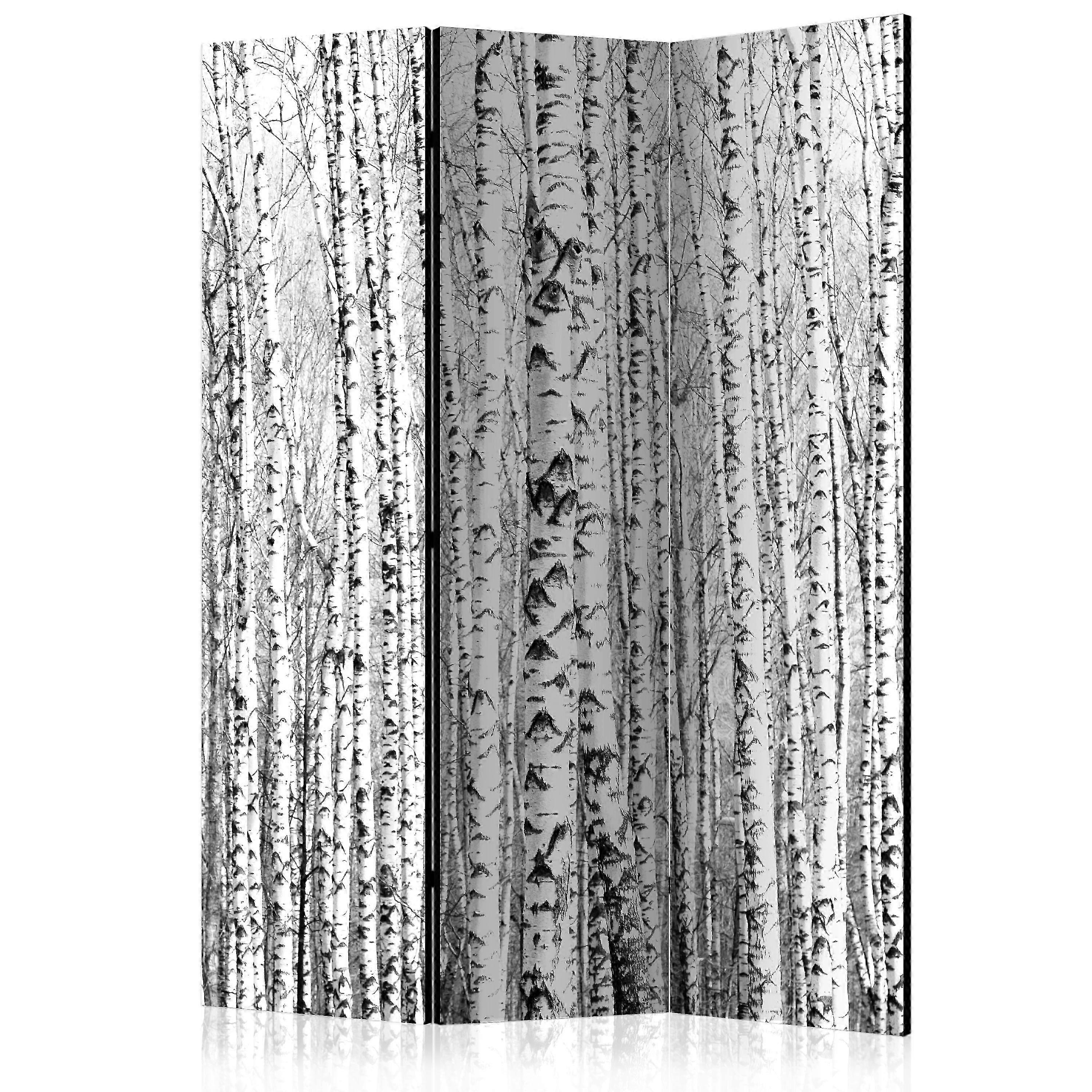 Paraván - Březový les