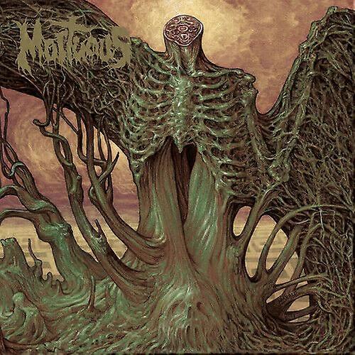 Mortuous Through Wilderness CD (2018) NEW