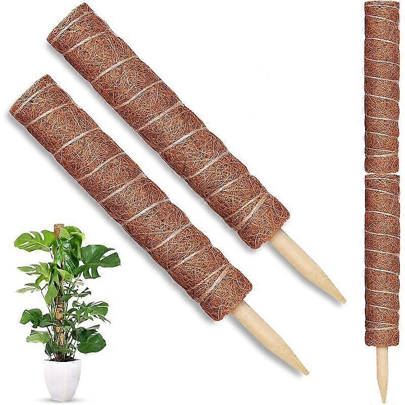 Monstera Plant Climbing Support