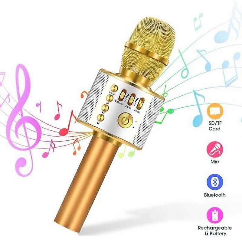 Wireless Karaoke Microphone Bluetooth Microphone Player Recorder Mini Karaoke Kids Family Party for Smart Device