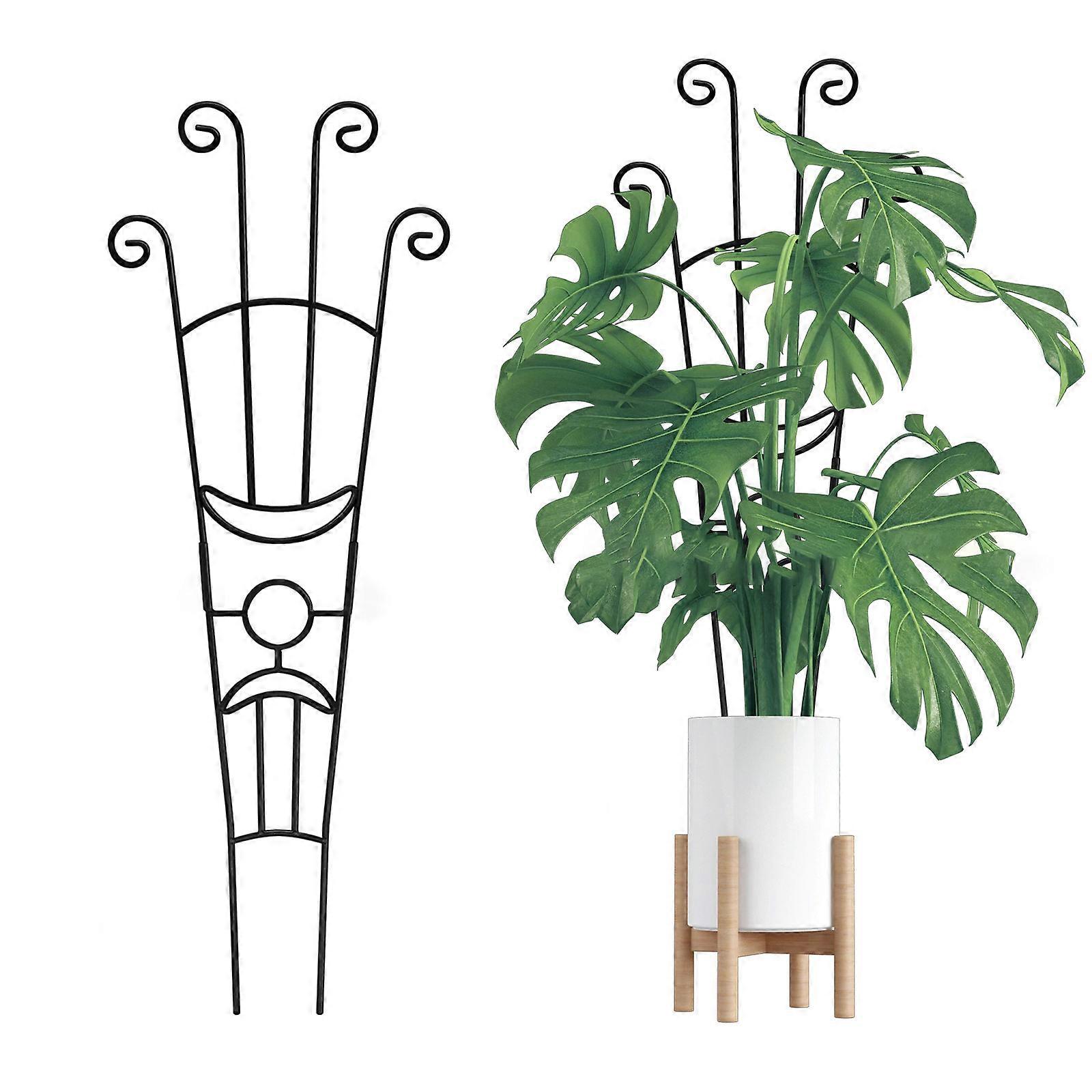 Strong Metal Plant Support Structure With Extendable Plan Space Saving Vertical Growth Solution 2 Divisions  Black