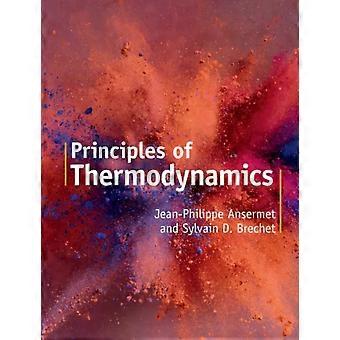 Princípios da Termodinâmica - Jean-Philippe Ansermet