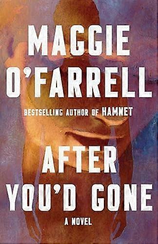 After You'd Gone : a Novel