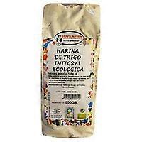 Ecological Whole Wheat Flour 500 g