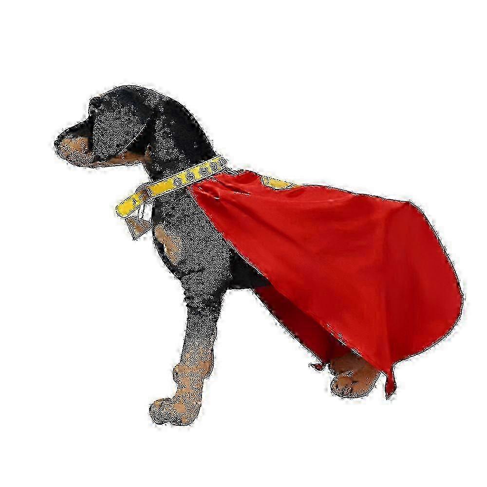 Superhero Dog Cape Leather Set
