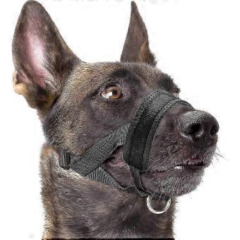 XL Nylon Training Dog Muzzle