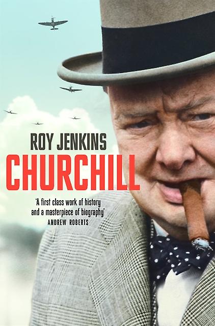 Churchill by Roy Jenkins Paperback