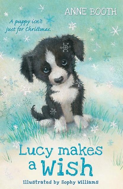 Lucy Makes A Wish by Anne Booth Paperback