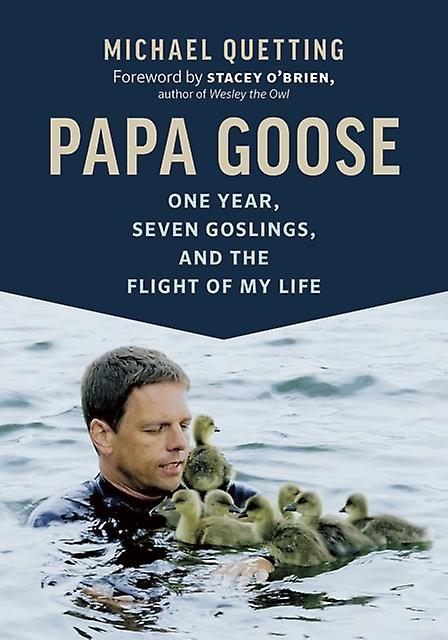 Papa Goose by Michael Quetting Hardback Book