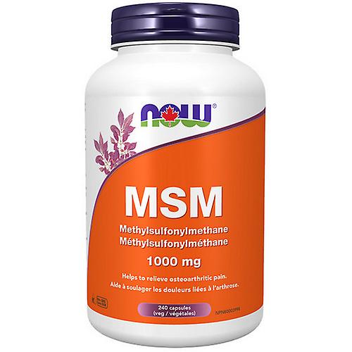 MSM,1000mg,240 Caps by Now (Pack of 2)