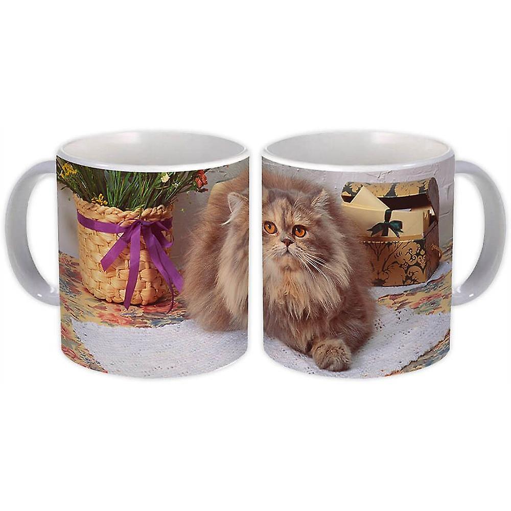 Gift Mug: Cat Kitten
