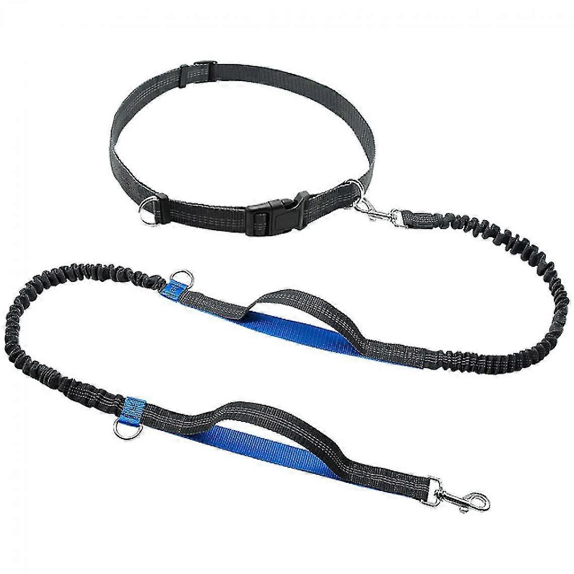 Hands-free Dog Leash, Bungee Jumping, Bungee Jumping, Running, Running, 150 Pound Dog Feeder.