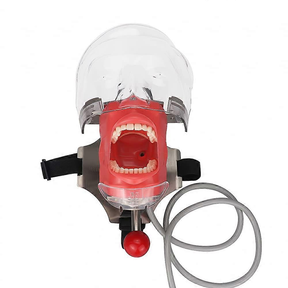 Dental Phantom Head Simulator Model With Bench Mount For Dental Chair