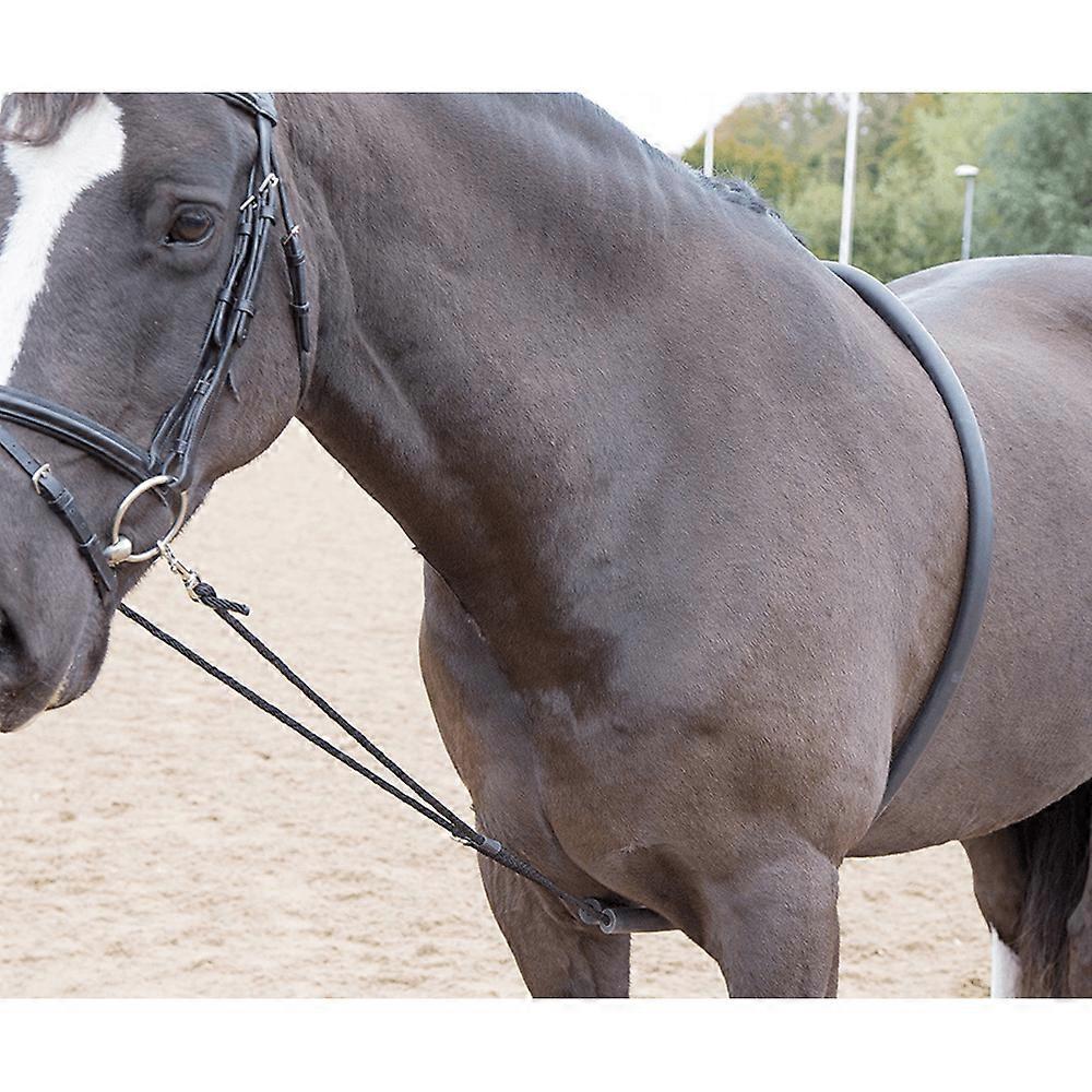Shires Arma Soft Lunging Aid - Black