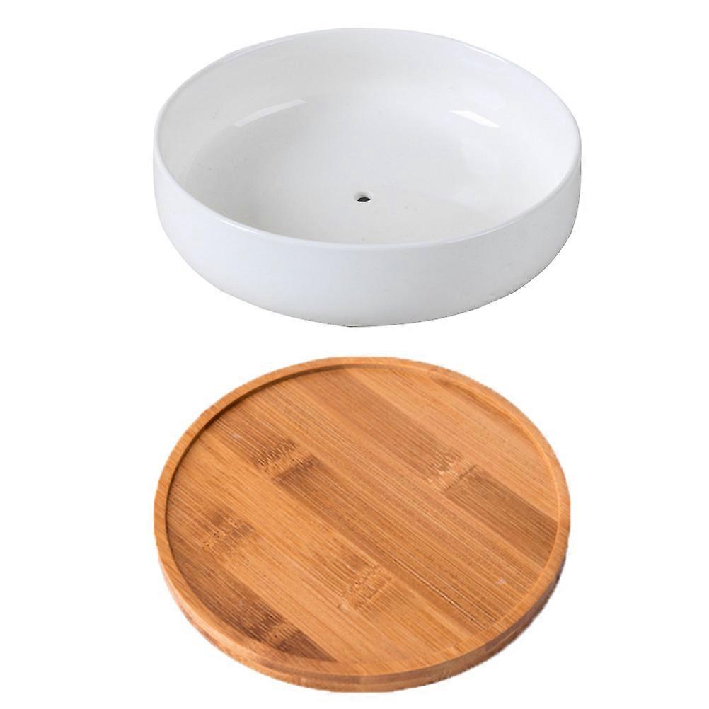 Stylish Ceramic Planters, , Perfect present Idea