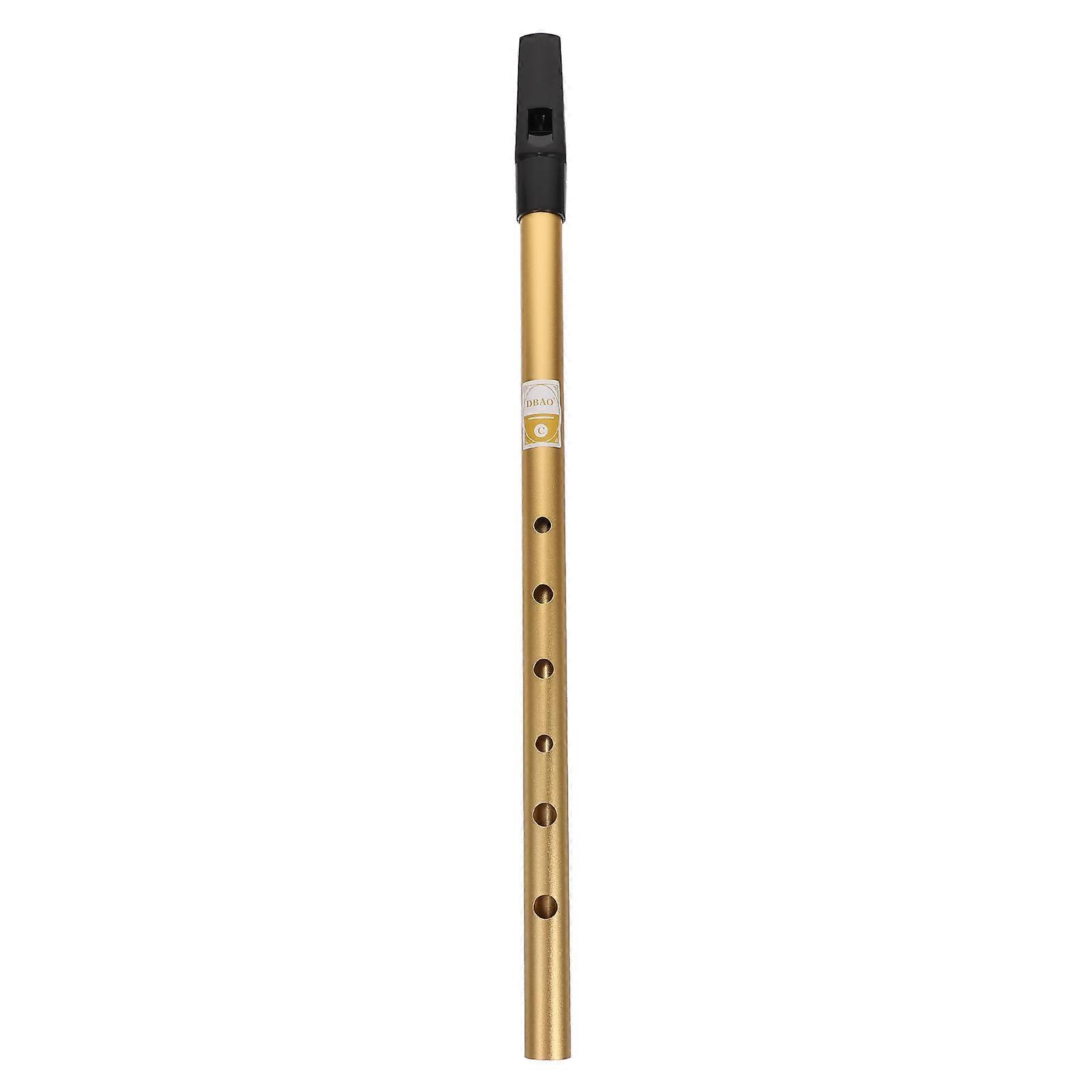 Wind Instrument Professional Recorder Instrument Children 1Set