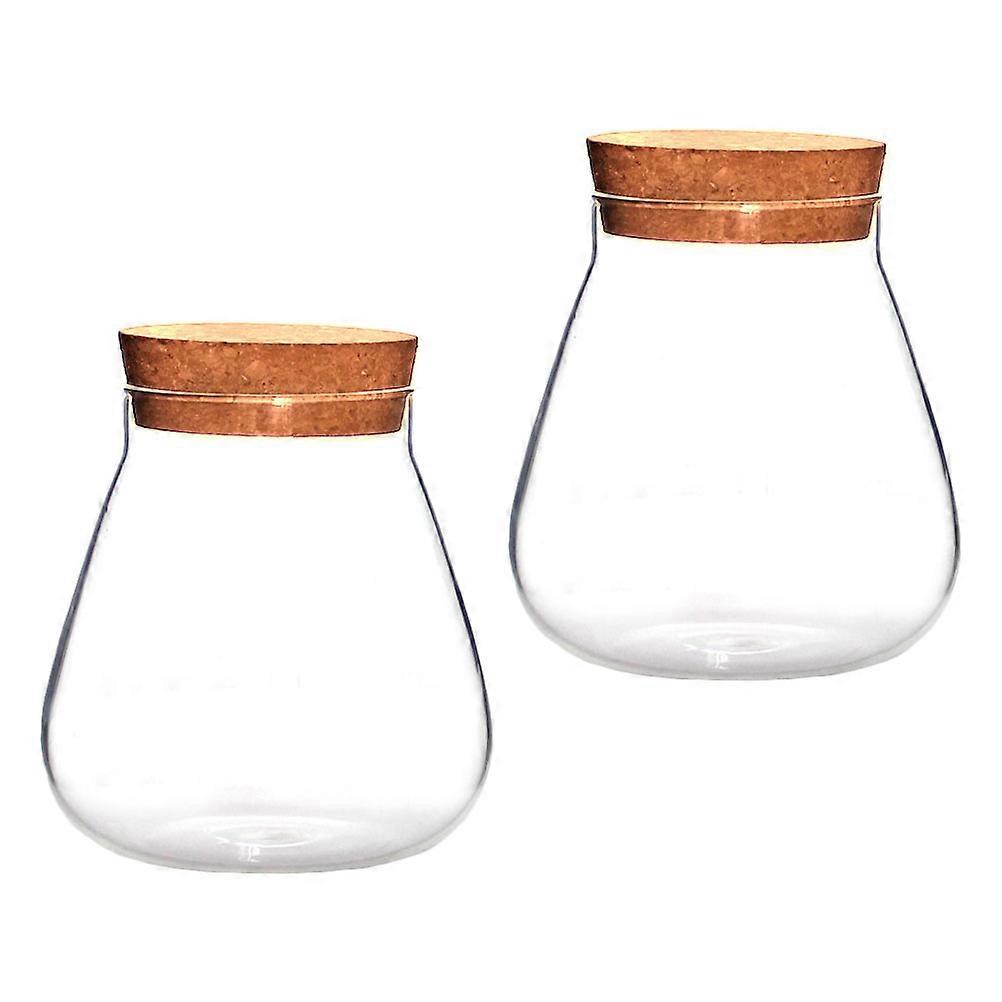 2Pcs Clear Decorative Bottles for Succulent Plant Display Storage Pot