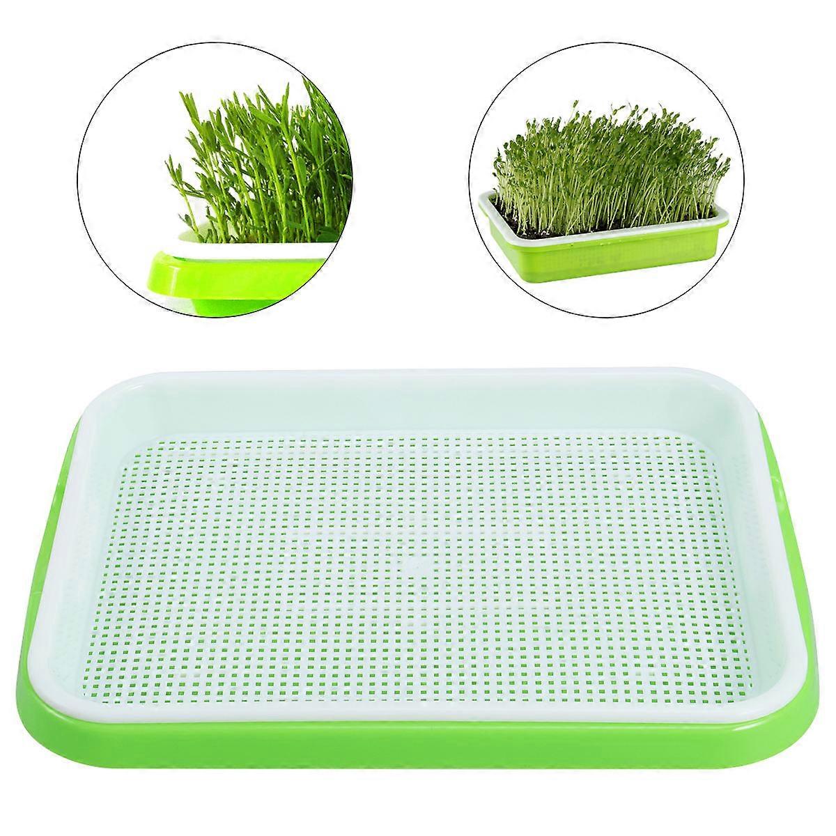 Sprouter Tray Wheatgrass Grower for Planting