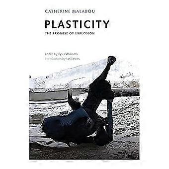 Plasticiteit: de belofte van explosie