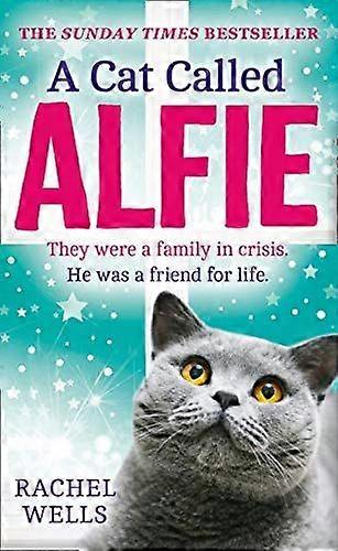 A cat called alfie