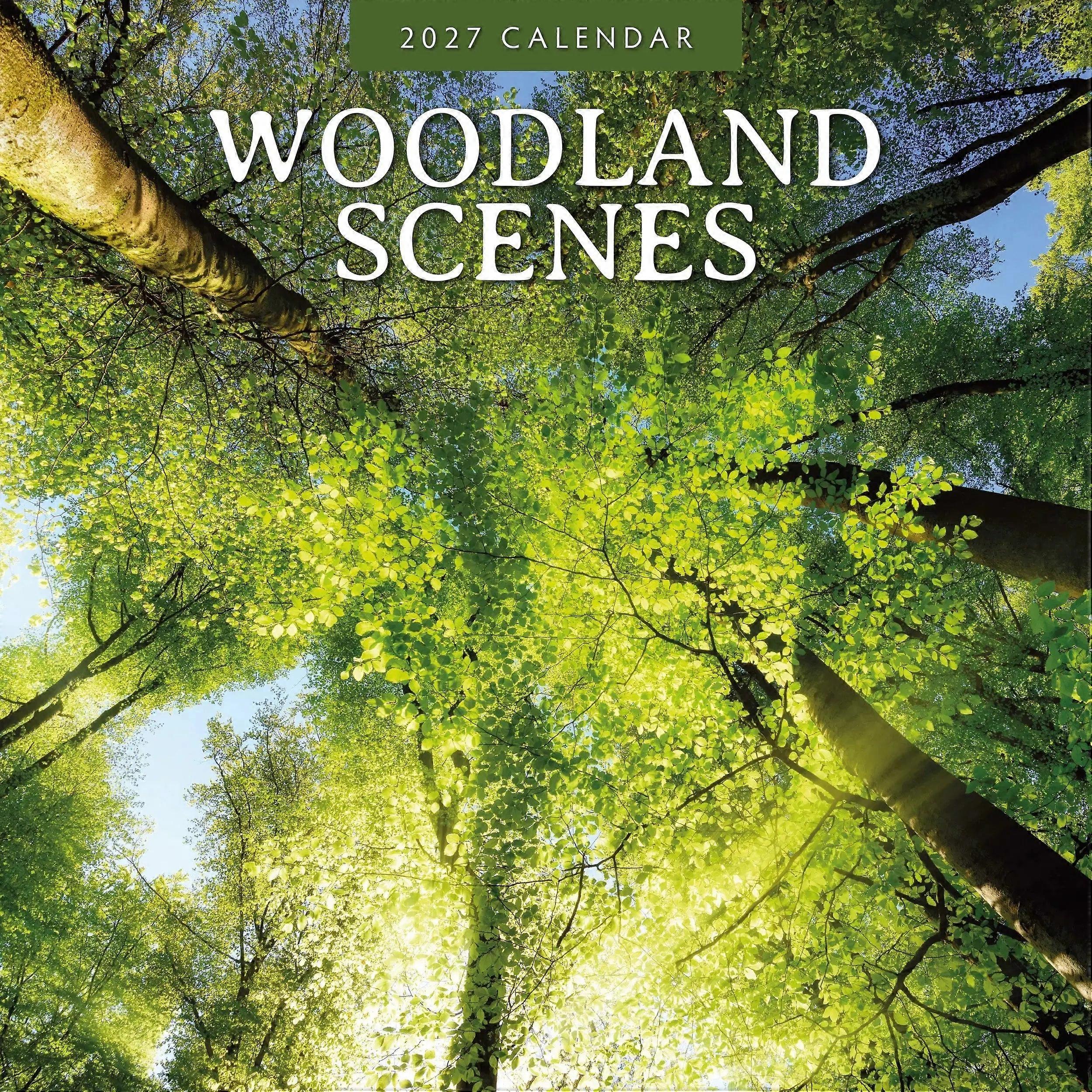 Red Robin Red Robin Woodland Scenes Calendar 2026