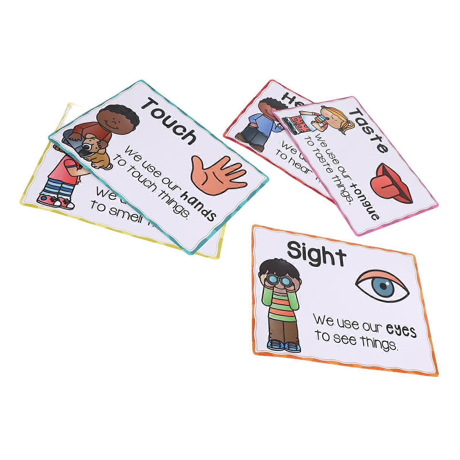 Five Senses Poster Learning Chart Educational Classroom Decor Students Teacher Study Materials