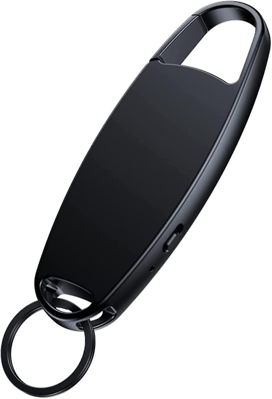 Portable Digital Voice Recorder