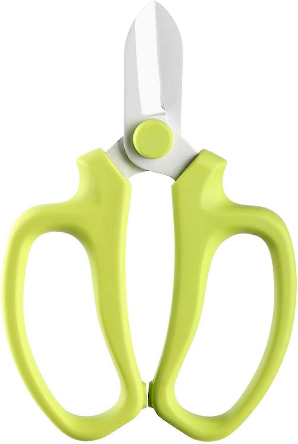 Professional garden scissors with handle, green flower scissors