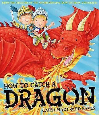 How To Catch a Dragon