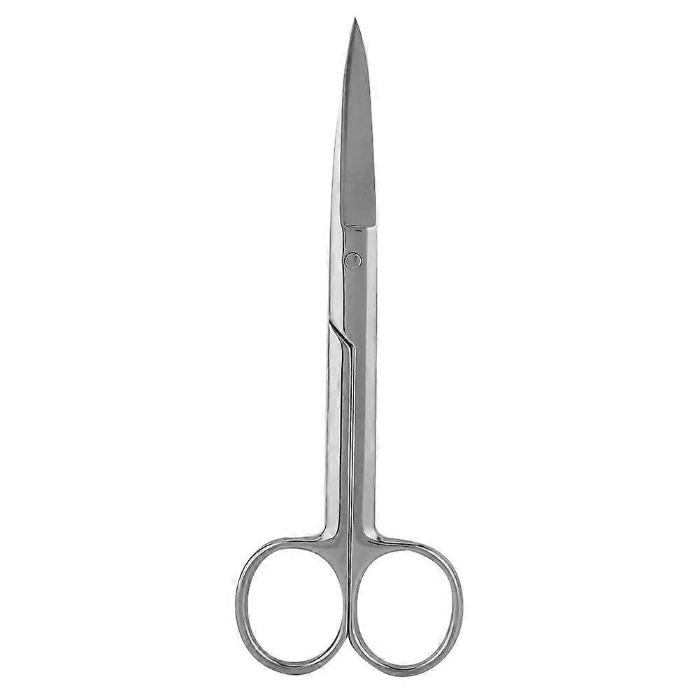 Stainless Steel Jewelry Making Cutter Tools Shears Welding Scissors Sheets Accessory (Long)