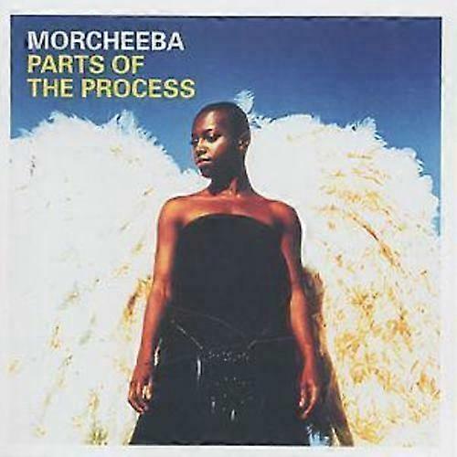 Delar av process-CD:n (2003)