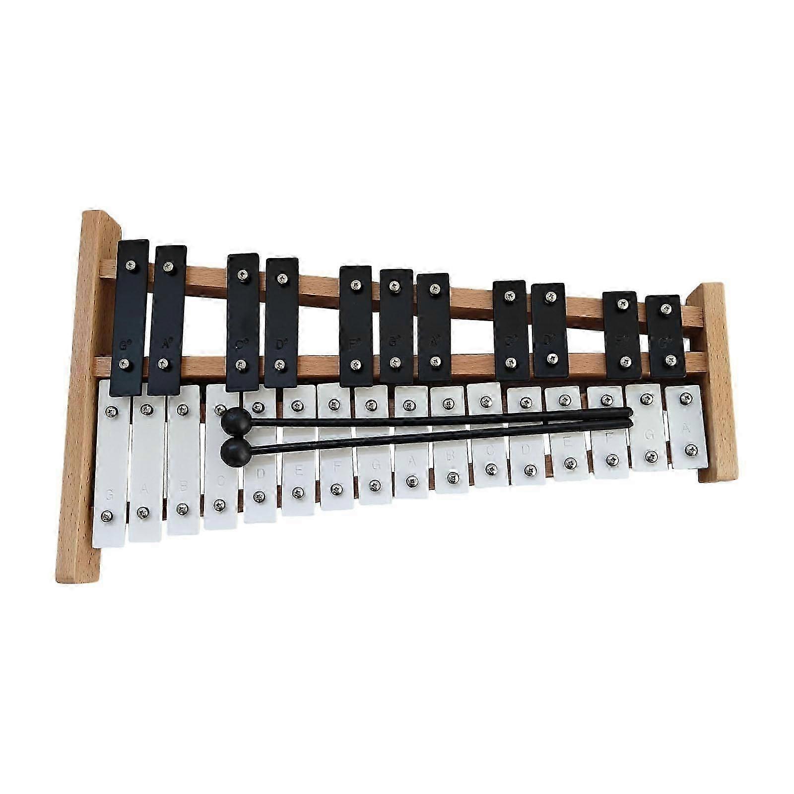 27 Notes Glockenspiel Music Teaching for Music Lessons Event Family Sessions