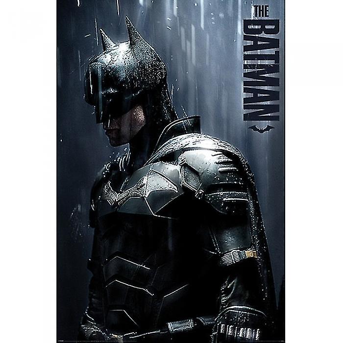 Batman Downpour Poster