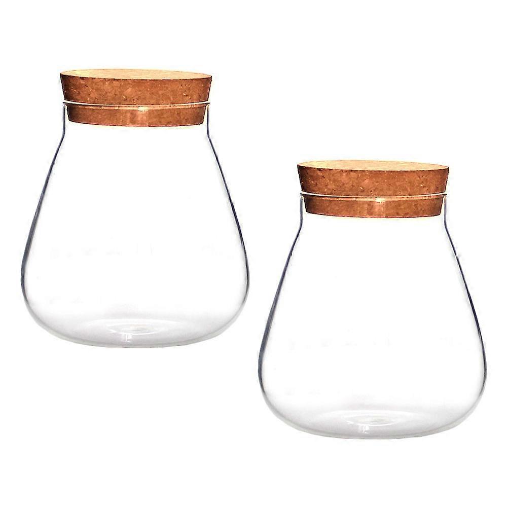 2pcs Creative Clear Micro Landscape Vases with Cork Stoppers for Plant Propagation, Home Decor & Terrariums – Durable Transparent Decorative