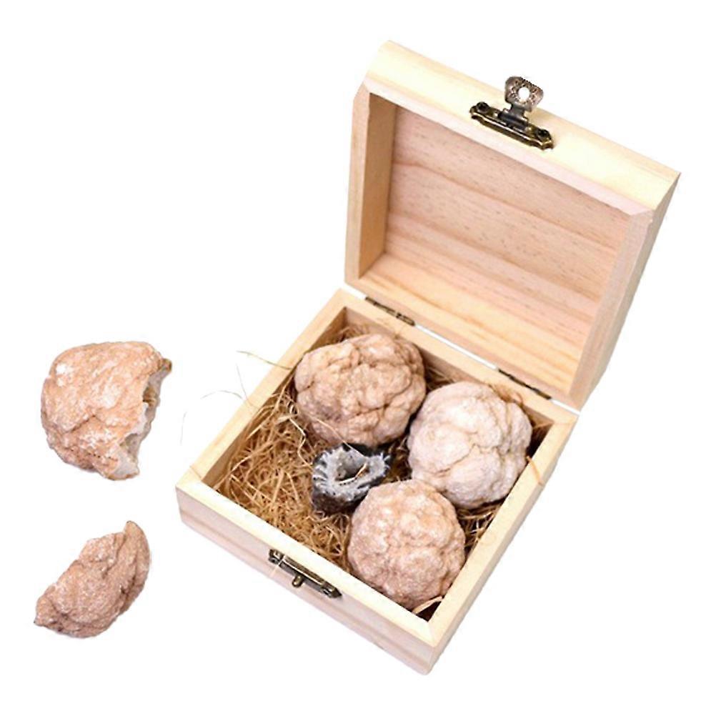 Gem Digging Kit for Discovering Real Gemstones and Unique Rocks with Fun Geology Learning Experience, Includes Exploration Box