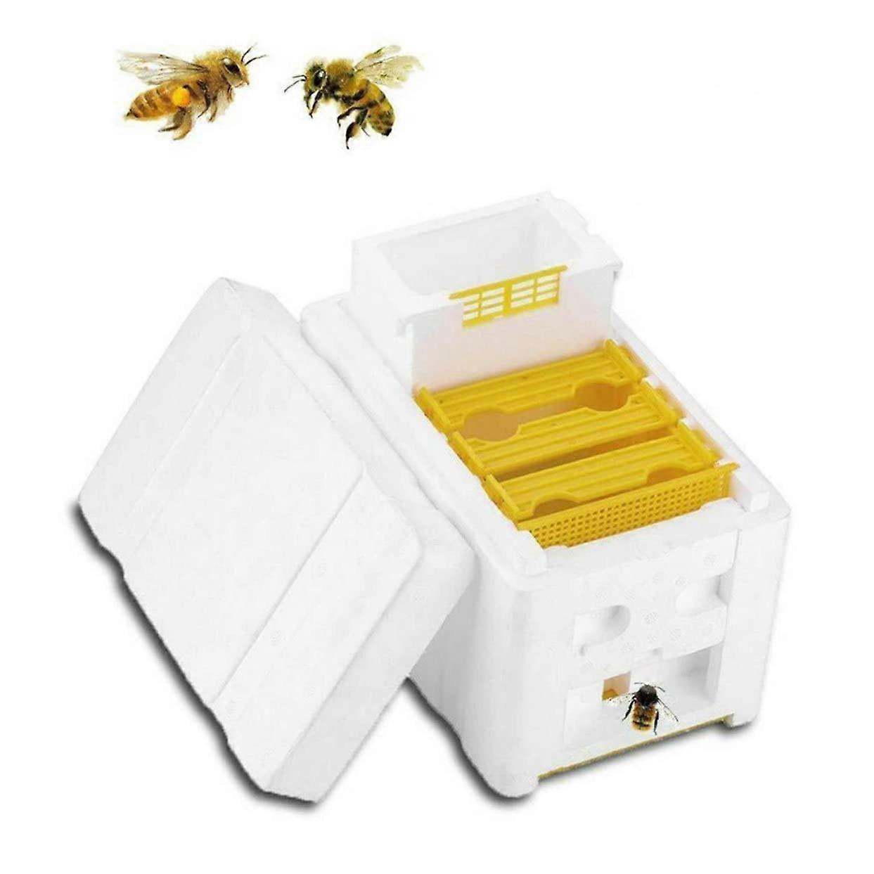 Bee Mating Box For Beekeeping - Foam Beehive Tool, Storage Box For Hive Management, Practical Design