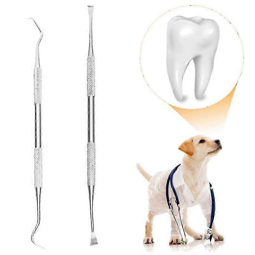 専門の歯科用具、犬の歯科歯のスケーラーおよびスクレーパー2パック