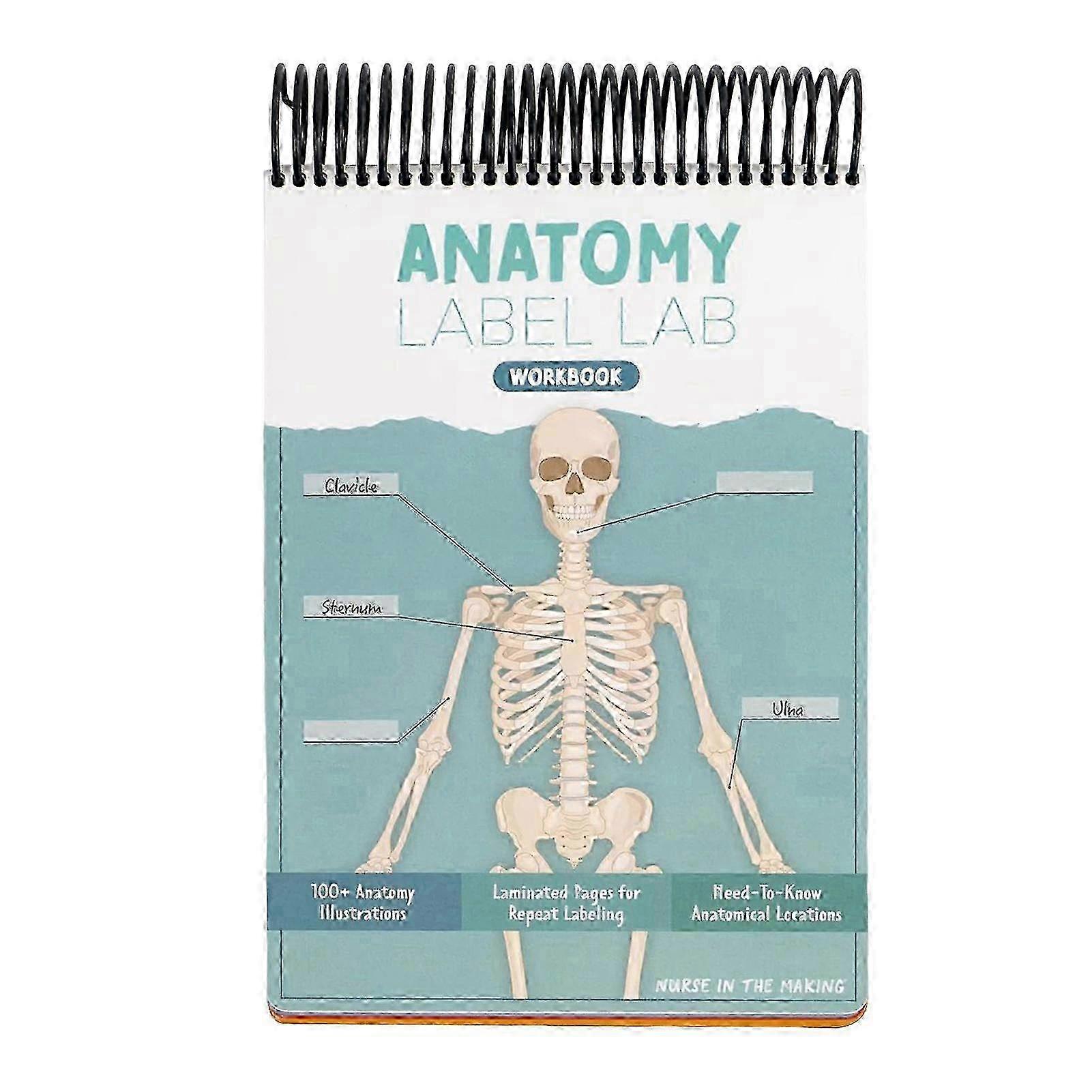 Anatomys Workbook 100+ Full Color Anatomys Pages Books for Nursing Students