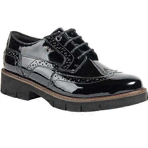 POD Womens/Ladies Kacey Leather Brogues